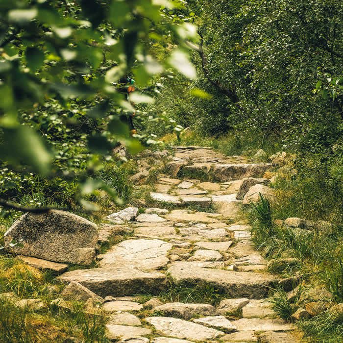 Servidumbre de paso abogados en Murcia